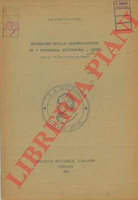 SCHATZE Annetta - Forschungen zur Keimung von ''Ephedra sehr hoch'' Desf.