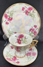 VTG UCAGCO Flower of the January CARNATION Footed Cup Saucer & 7-3/4" Plate