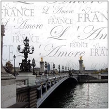 Creative Imaginations 12" x 12"  Transparency France Paris Travel Overlay