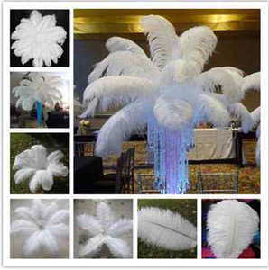 White-Natural-Ostrich-Feathers-12-14-inch-30-35-cm-100-200-pcs-Diy-costume-mask