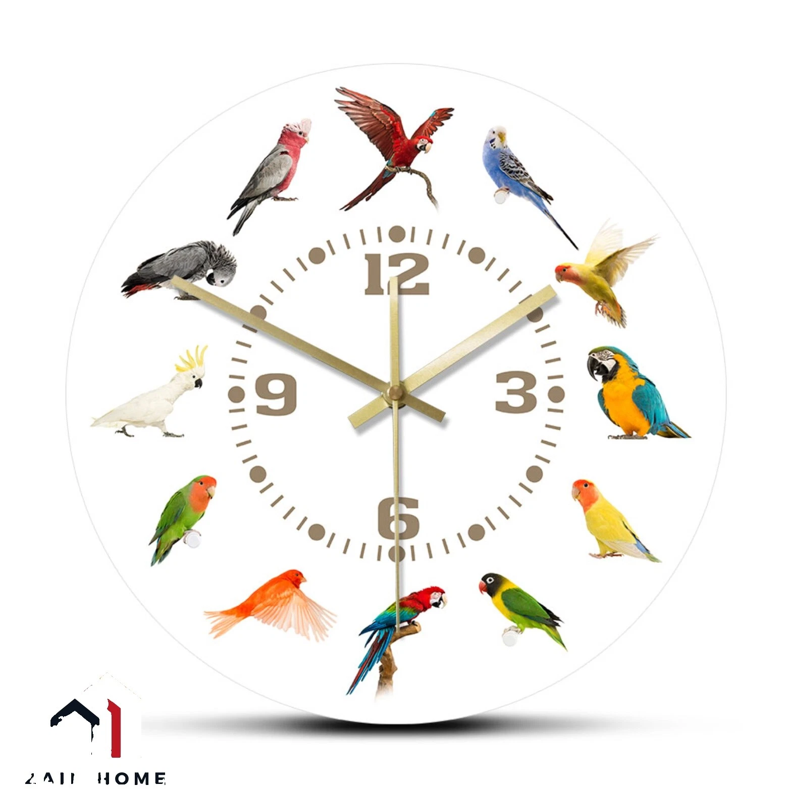 Acrylic Modern Wall Clocks