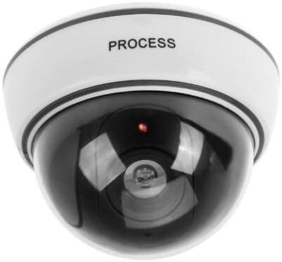 BW Outdoor Indoor Fake Imitation IR Dome CCTV Blinking Red LED