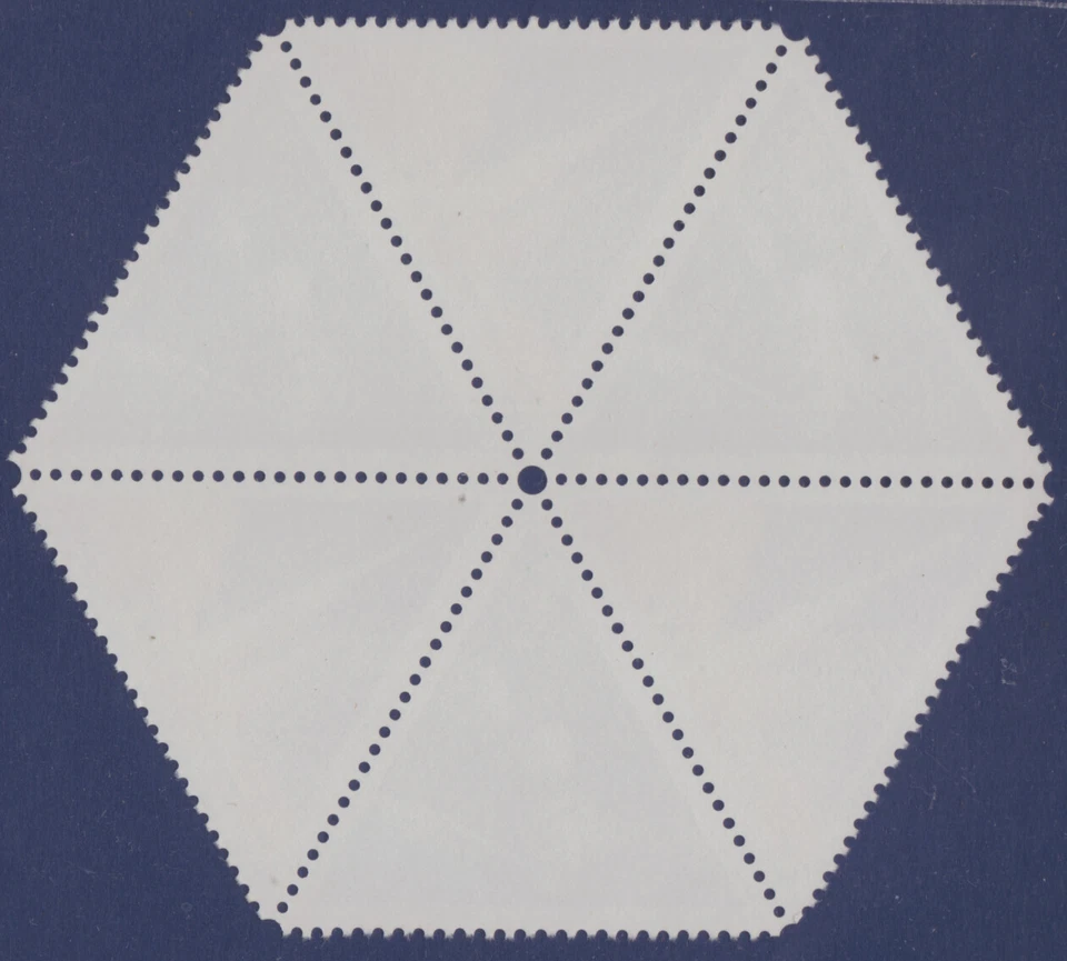 China 2000-22 Exitosa de la 1ª nave espacial Shenzhou en hexágono desplegada MNH. Foto 2 de 2