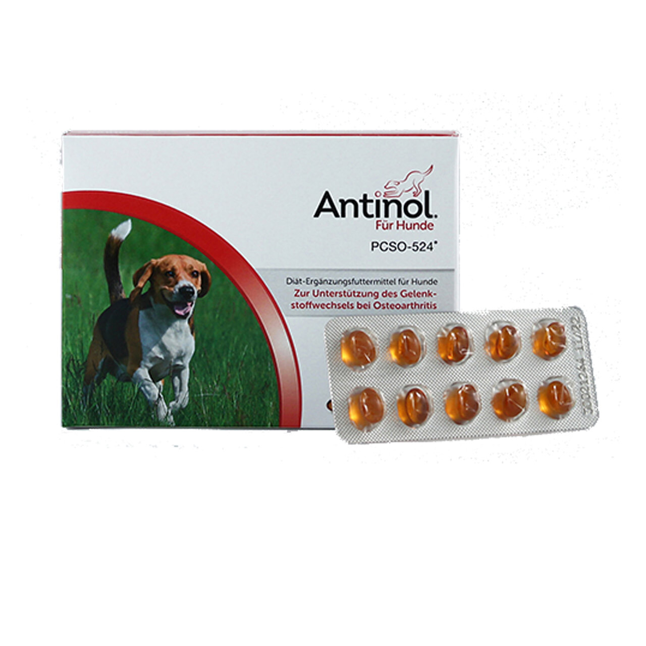 selectavet Antinol PCSO-524 | 60 Kapseln für Hunde | Grünlipp-Muschel