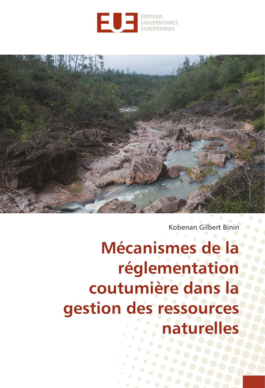 Thumbnail - Kobenan Gilbert Binin | Mécanismes De La Réglementation Coutumière