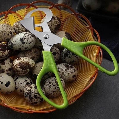 Quail Roast egg scissors eggshell scissors eggshell opening divider scissors Lot