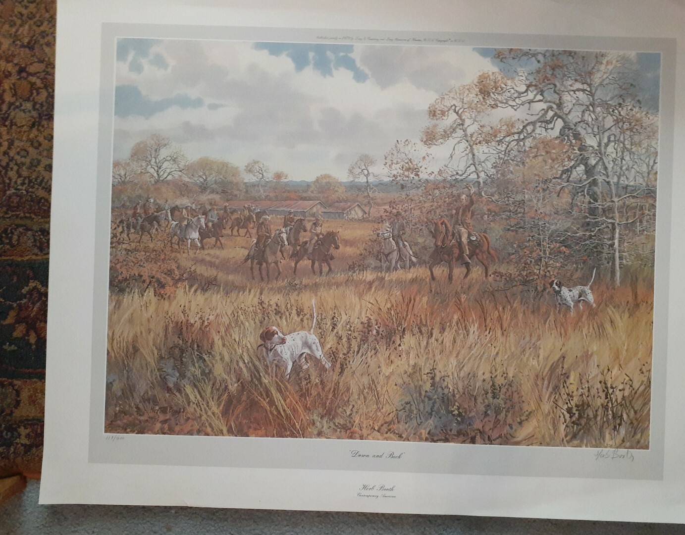 Foto 2 di 11