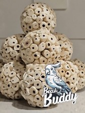 BeakBuddy Parrot Toys Sola Ball Foraging Bird Toys - 20 Pack