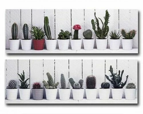 Shabby Innenraum-Dekorationen