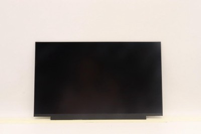 Lenovo Thinkpad T15 G2 L15 G2 5D11C12738 Touch LED Display (1920x1080) matt
