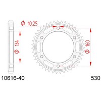 Zahnrad Afam Stahl P530 - Z40 (DIS.10616) Honda 1000 CBR RR Fireblade 04/05