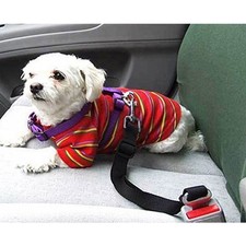 Guinzaglio di Collare da Cintura sicurezza auto regolabile trasporto cane gl