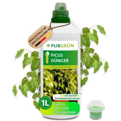 Purgrün Ficus Dünger, NPK 10+4+6, für grüne Blätter, 1L