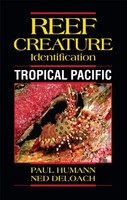 Reef Creature Identification Tropical Pacific By Paul Humann, (paperback), W on sale Reef Creature Identification Tropical Pacific By Paul Humann, (paperback), W on sale
