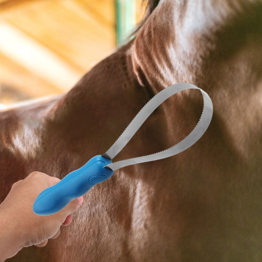 Horse Shedding Blade DiDiBirDi Dual-Sided Shedding Blade Dogs Hair