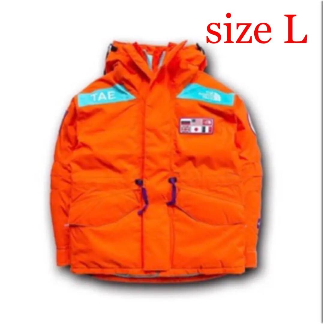 The North Face Trans Antarctica Expedition Parka L Orange | eBay