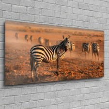 Print on Glass Wall Mounted Home Decoration Photo 120x60 Zebras in National Park