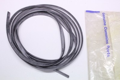 CUMMINS Dichtung  D3893964 OVP