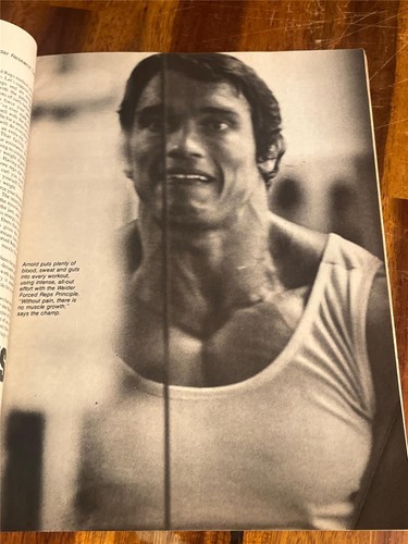 MUSCLE BUILDER bodybuilding magazine PIERRE VAN DEN STEEN/Schwarzenegger 7-75 - Picture 5 of 11