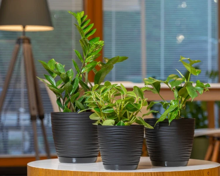 Blumentopf Übertopf Pflanztopf ohne/mit Untersetzer 6 Farben 7 Größen 3D Wellen - Bild 2 von 4