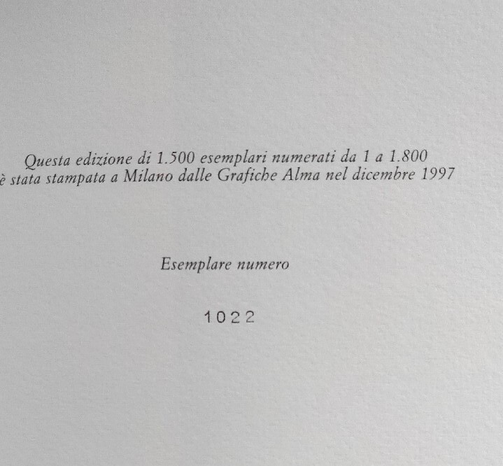 Foto 12 di 12