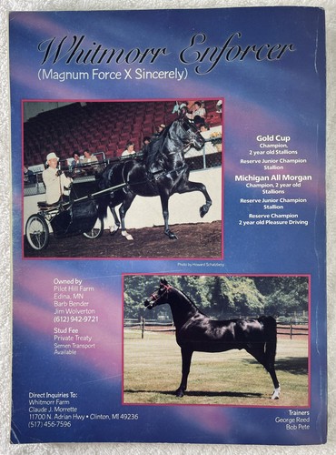 4 Issues- The Morgan Horse Pride & Products of America- 1987- Mar, Sep, Oct, Dec - Imagen 11 de 13