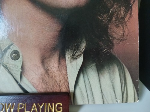 PETER FRAMPTON - Where I Should Be LP - 1979 - A&M Records - Soft Classic Rock - Picture 6 of 16