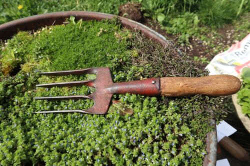 Tenedor de mano de jardín de dientes retorcidos de colección exhibición de herramientas de jardinería - Imagen 1 de 3