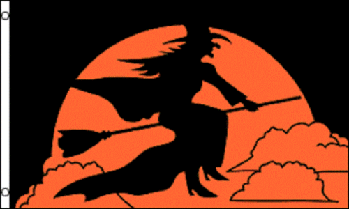 3X5 FT WITCH FLAG HALLOWEEN 3' X 5' SIGN BANNER FLAG kf - Bild 1 von 1