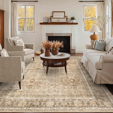Washable Rugs 5X7 Area Rug for Living Room, Vintage Boho Khaki Rug Non Slip Carp