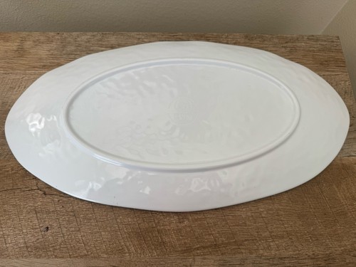 MICHEL Design Works Oval Serving Tray Melamine Platter Plate Bird Eggs 19"x 10" - Picture 13 of 14