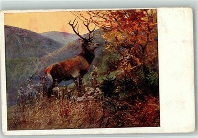39434838 - Hirsch B.K.W.I. Nr.667-5 Jagdtier