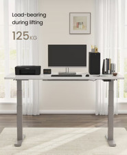 FlexiSpot E7 E7S-UKFS Electric Standing-Desk (Frame Only) Dual-Motor SILVERY