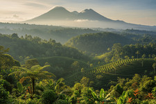 Sumatra - Single Origin