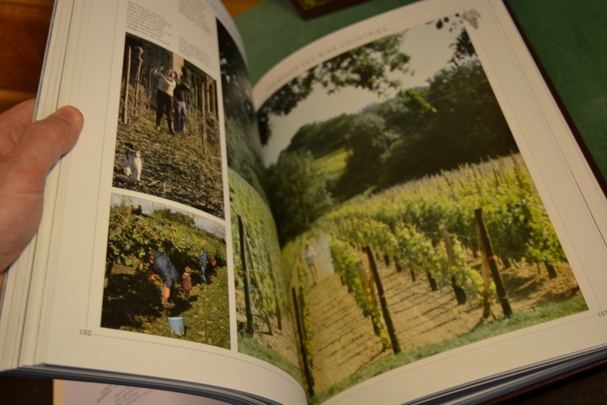 The Book of Wine Norman Bezzant Boxed Hard Cover Book Color