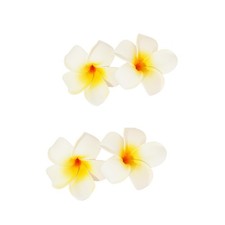 4 Pcs 7cm White Hawaiian Hair Clips for Women Girls Frangipani Plumeria Foam ...