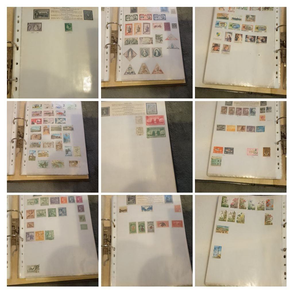 Picture 11 of 20