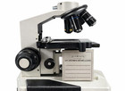 Radical RXL-4T Digital-Ready Trinocular Biological Microscope – Model 31598 — photo 3