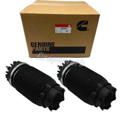 2PCS Rear Left Right Air Suspension Spring For 19-24 Dodge Ram 1500 68260938AA