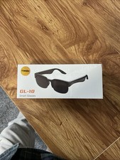 GL 10 Smart Glasses AI Translation