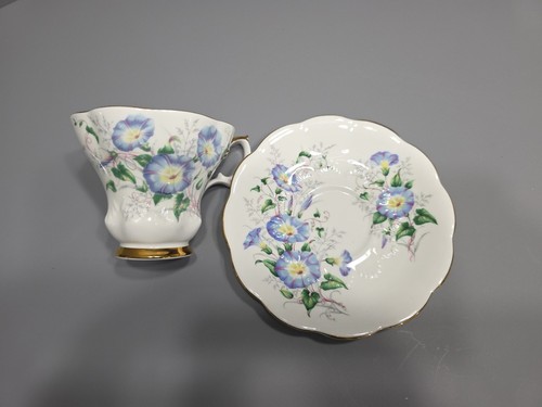 Taza de té y platillo vintage Royal Albert Friendship Morning Glory Inglaterra