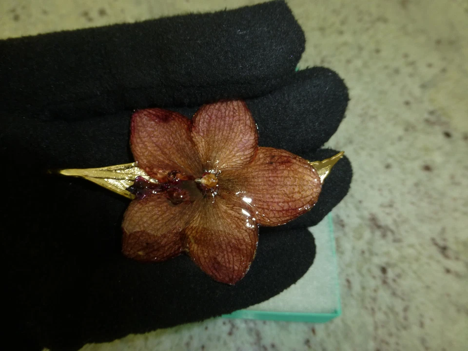 Phalaenopsis Real Phal Orchid Preserved Flower 14K Gold Plated Hair Clip - Image 4 of 4
