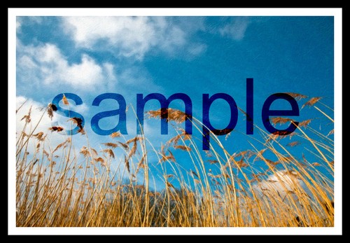 A3 180gsm Matte Poster Printing Service, Full Colour Quick Reliable Custom Sizes - Picture 3 of 6