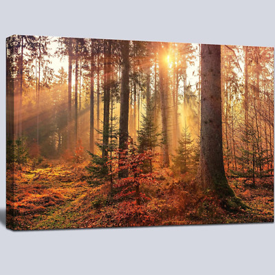 Mystical Forest Canvas Art - Autumn Trees Wall Decor for Home & Office 24 X36 