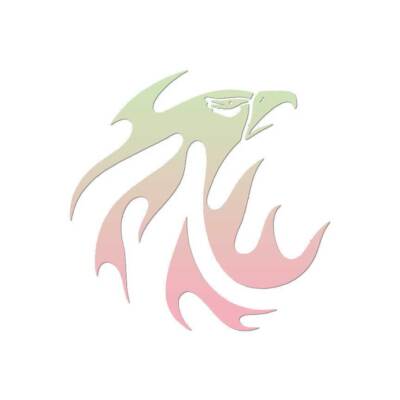 Flame Eagle Head Tribal - Decal Sticker - Multiple Patterns & Sizes - ebn311