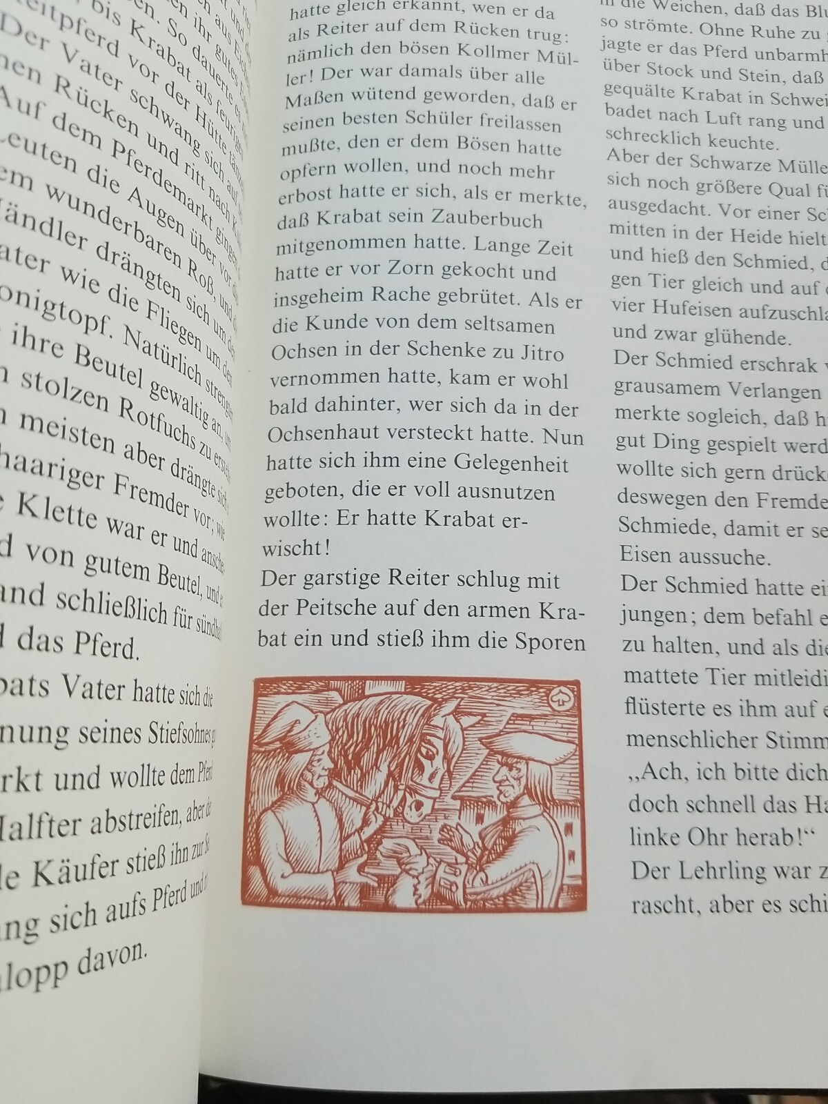Bild 2 von 11