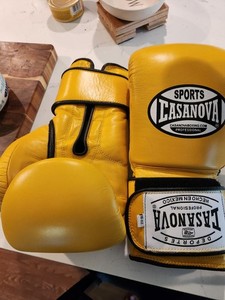 Engage Boxing Gloves | eBay