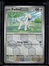 2024 Pokemon Shrouded Fable Furfrou Reverse Holo #051/064