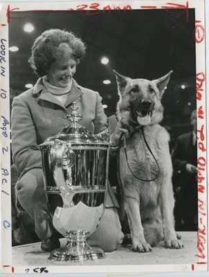 Crufts Dog Show Champion Deutscher Schäferhund Shirley Thomas 1971 Vintage Pressefoto