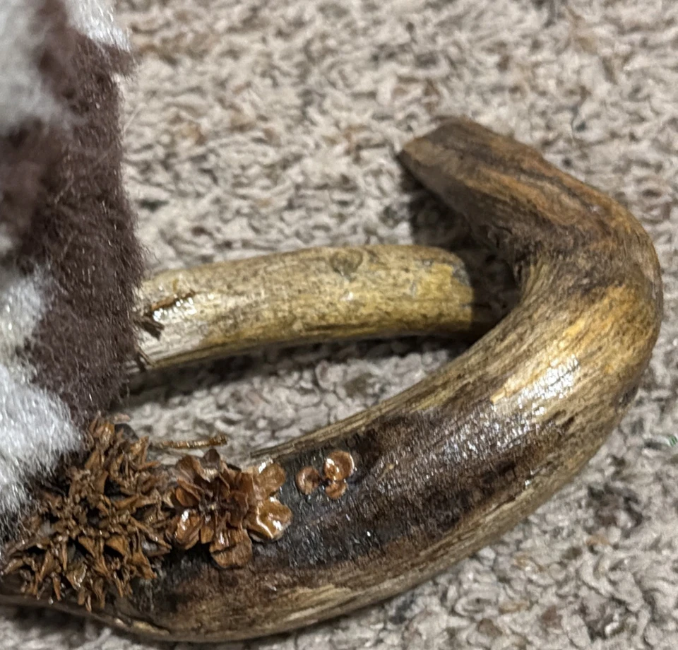 imitación taxidermia bebé búho en rama de árbol decoración del hogar Foto 4 de 4